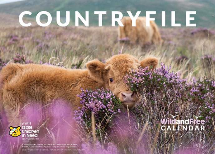 Countryfile Calendar 2025: A Stunning Celebration Of The British ...